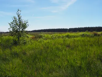 Signal de Botrange (België)